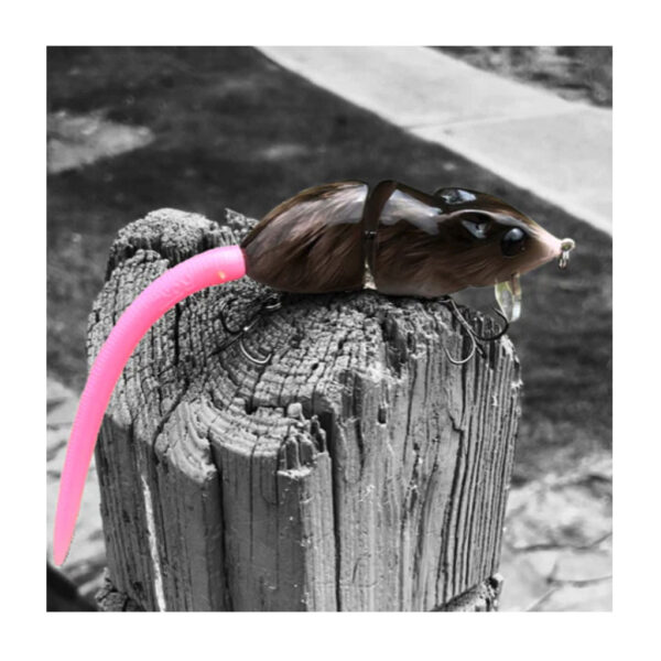 Gatordog Ratinho- “Furball”